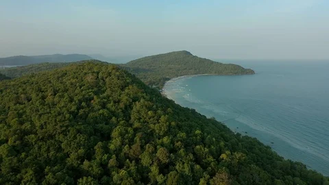 Flying around mountain and forest wood trees covered in sunset with opening vie Stock Footage 124326007