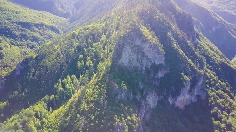 Flying around mountain with green forest and rocky cliff at its slopes. Durmitor 스톡 동영상 82844539