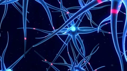 Flying around nerve cells Stock Footage 72952536