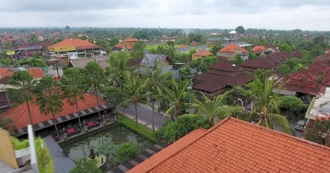 Flying around rice fields around the town of Ubud, Bali Stock Footage 73115350