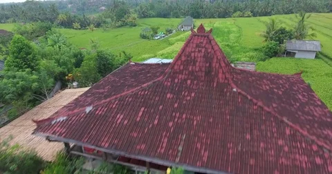 Flying around rice fields around the town of Ubud, Bali Stock Footage 73117375