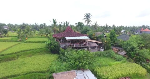 Flying around rice fields around the town of Ubud, Bali Stock Footage 73117925