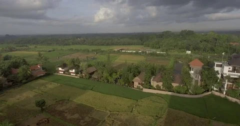 Flying around the town &amp; rice fields of Ubud, the heart of Bali Stock Footage 73100284