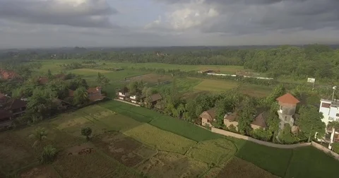Flying around the town &amp; rice fields of Ubud, the heart of Bali Stock Footage 73100862