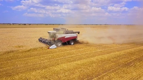 Flying around the working combine.Harvester while mowing wheat on a beautiful Stock Footage 119407268