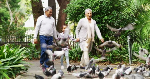 Birdie321 Video Stock Video Footage | Royalty Free Birdie321 Video