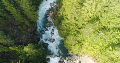 Flying Away River Rapids Tall Trees Along Canyon Road Vídeo Stock 90636730