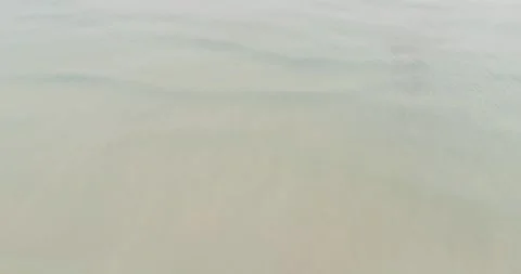 Flying away from a sandy beach with seagulls the concept of freedom and natur Stock-Footage 326701615