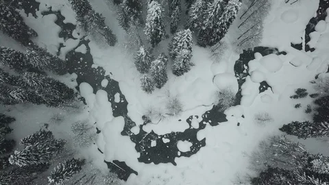 Flying away from winter river Stock-Footage 112497689