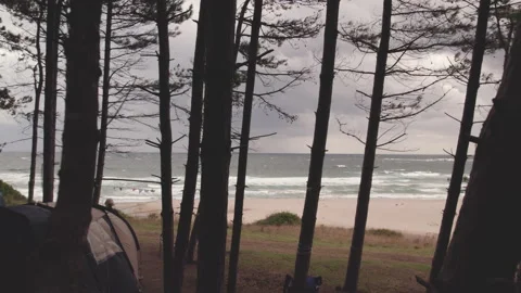Flying back between tent and trees at coastline camp Stock-Footage 212072141