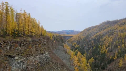Flying back at the edge of a huge rock, autumn forest, mountain peaks are Video stock 147241854