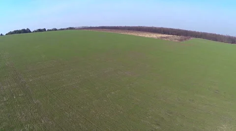 Flying back over the green field. Aerial view. Stock-Footage 61197932