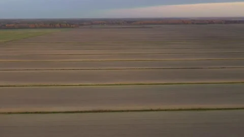 Flying back over yellow field. Aerial view. Arable land. Smooth furrows. Autumn Stock Footage 228699328