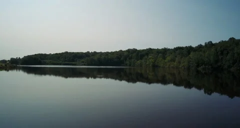 Flying back revealing tree frame left Video stock 54710406