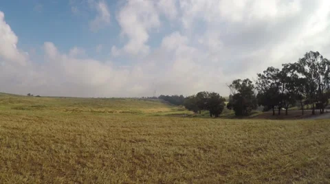 Flying backward above the meadow and trees 動画素材 49540171