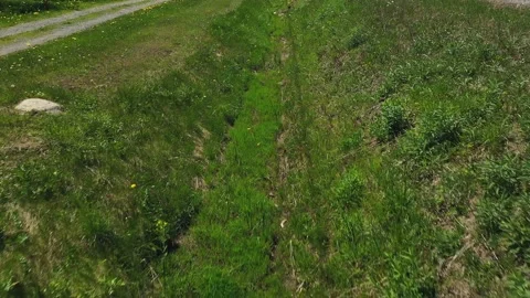 Flying backward with a drone just above a ditch covered of high green grass a Stock-Footage 164917170