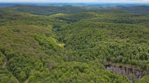 Flying backward high above the forest showing the panorama of mountains Stock-Footage 170404257