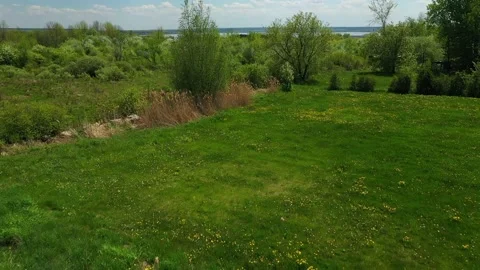 Flying backward mid-air above the grass with yellow wild flowers, Video stock 164916547