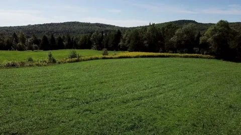 Flying backward over a field of grass 動画素材 136421292