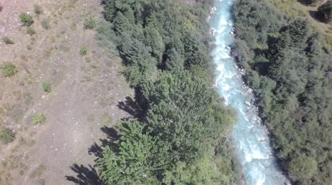 Flying backwards above mountain river and trees 動画素材 54581435