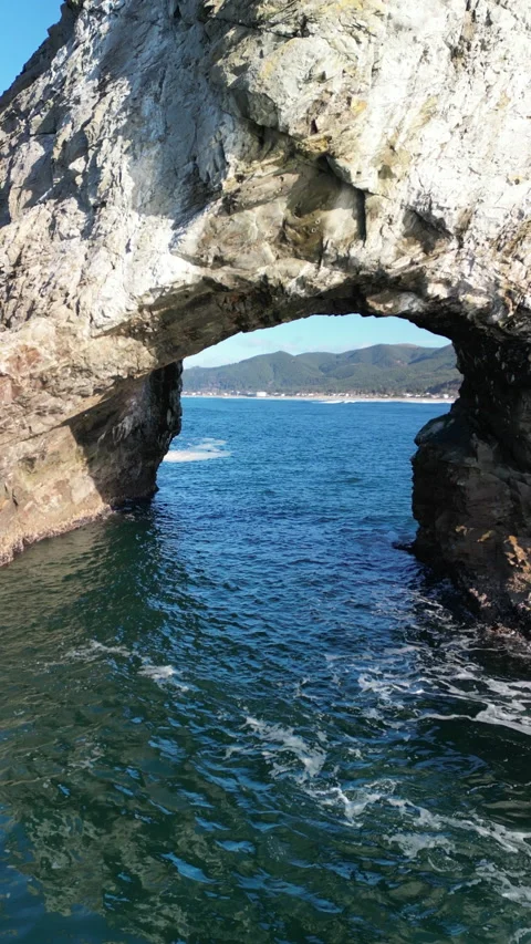 Flying Backwards Away From Twin Rocks Arch with 2 Bald Eagles (Portrait Orient) Stock Footage 228748100