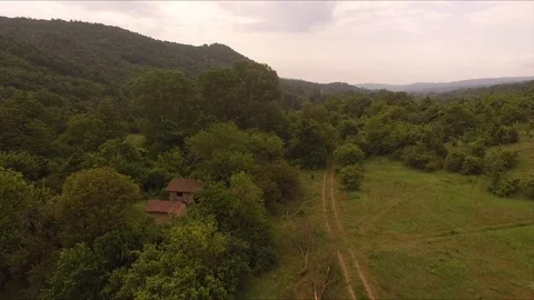 Flying backwards the earthy path between the forests and meadows Stock Footage 112793478