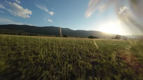 Flying backwards extremely close to ground and fast through field at sunset Stock Footage 248161794