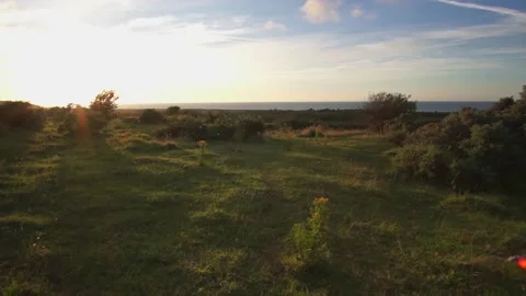 Flying backwards over a beautiful meadow landscape at sunrise. Stock Footage 140393152