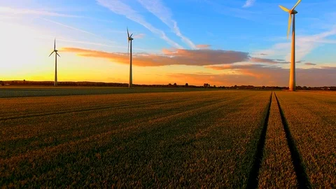 Flying backwards over a grain field at sunset, wind turbines in the background. Stock Footage 89709818