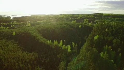 Flying backwards over lake in forest landscape Stock Footage 83257510