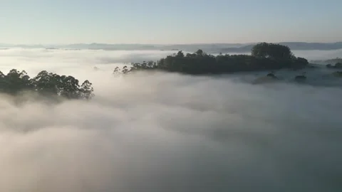 Flying backwards over mountains and woods among dense fog. Stock Footage 253363474