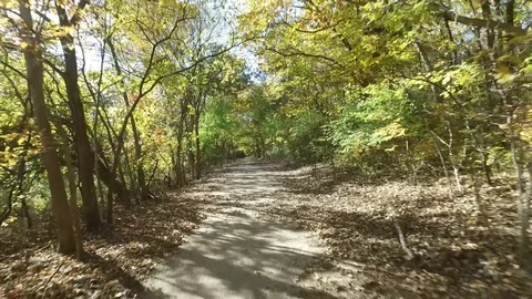 Flying backwards over path in the woods Stock Footage 102301596