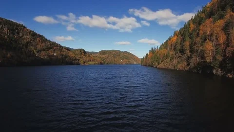 Flying backwards over river and trees with autumn landscape on background. Stock Footage 81216981