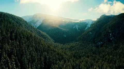 Flying Backwards over Snowy Mountain with Pine Trees Video stock 148960707
