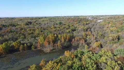 Flying backwards over some water and trees in the Fall Stock Footage 102301043