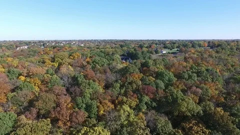 Flying backwards over trees in the Fall Stock Footage 102301040