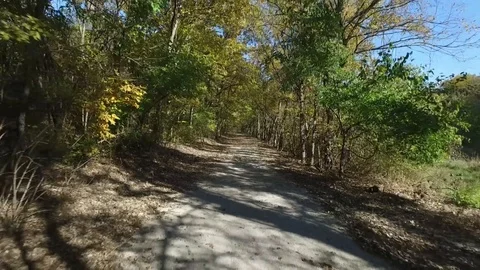 Flying backwards over a walking path, under a canopy of trees Stock Footage 102301359