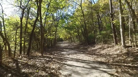 Flying backwards over a walking path in the woods Stock Footage 102301627