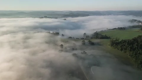 Flying backwards over woods and green fields shrouded in mist at sunrise. Stock Footage 253362271