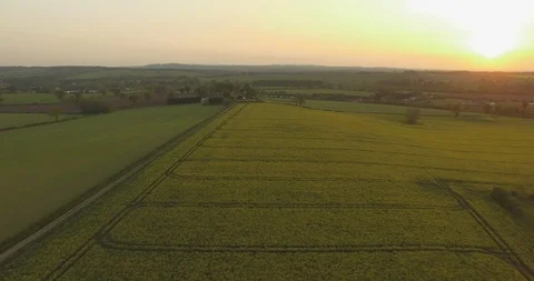 Flying backwards over yellow rapeseed English Country Field Stockbeeldmateriaal 89764530