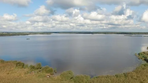 Flying backwards over the yellow reeds and bushes of marsh lake. Stock Footage 82809192