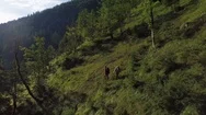 Flying Backwards Revealing Couple Hiking Hillside Forest Adventure Aerial Shot Stock Footage