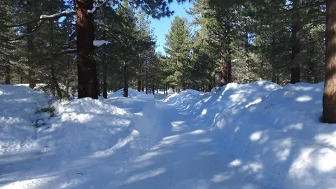 Flying backwards through a shoveled out, snow-covered path Stock Footage 88784884