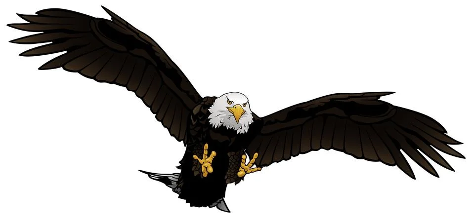 Flying Bald Eagle Illustration Stock Illustration