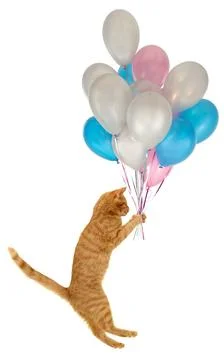 Flying balloon cat Stock Photos