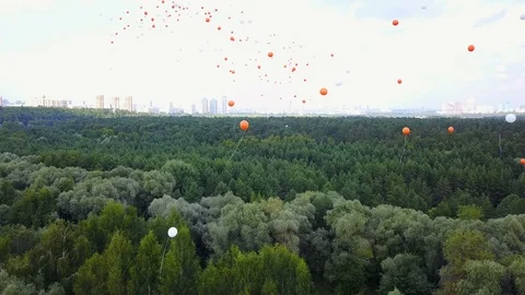 Flying Balloons Above The Trees Stock Footage 92231524