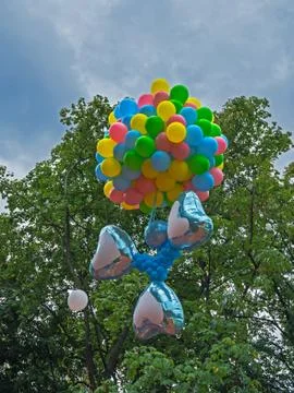 Flying balloons Stock Photos