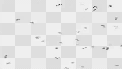 Flying Bat Animation - Far away and close to camera 스톡 동영상 158217701