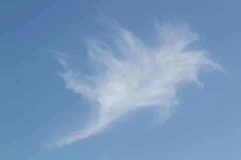 Flying Bat like cloud in the blue sky for monsoon concept. Foto stock