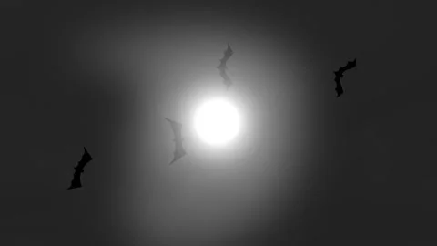 Flying Bat Crossing Bright Moon In Dark Horror Sky Stock Footage 335141305